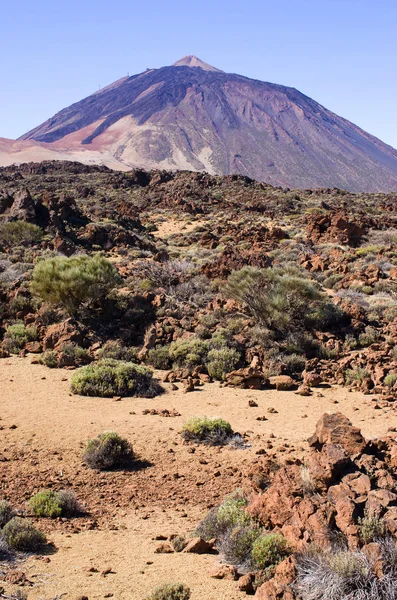 Vue volcanique sur l'île de Tenerife, Espagne — Photo
