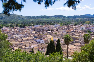 Mallorca Adası, İspanya 'da Arta