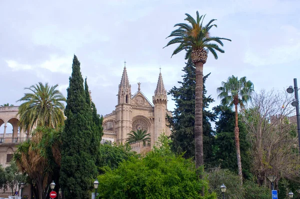 Kathedrale la seu, Palma de Mallorca, Spanien — Stockfoto