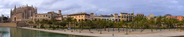 Kathedraal Seu Palma Mallorca Spanje Rechtenvrije Stockafbeeldingen
