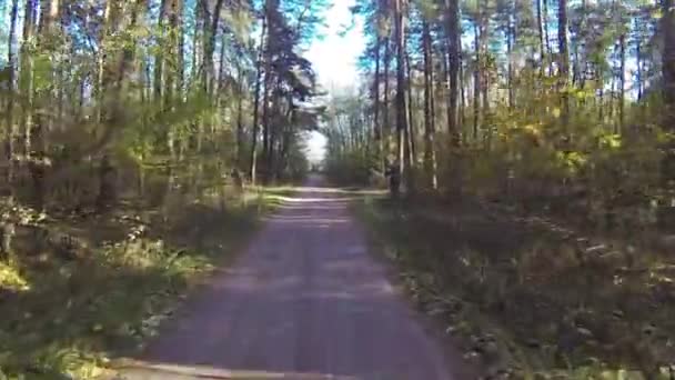 Беспилотник летит через осенний лес — стоковое видео
