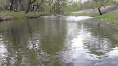 Drone fly dağ nehir ağacın altında yukarıda