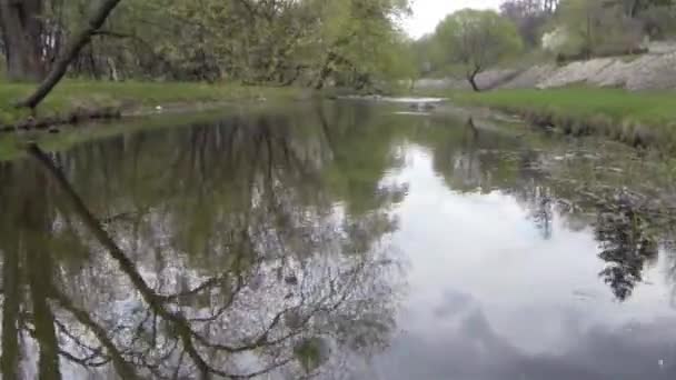 Drone fly above mountain river under tree — Stock Video