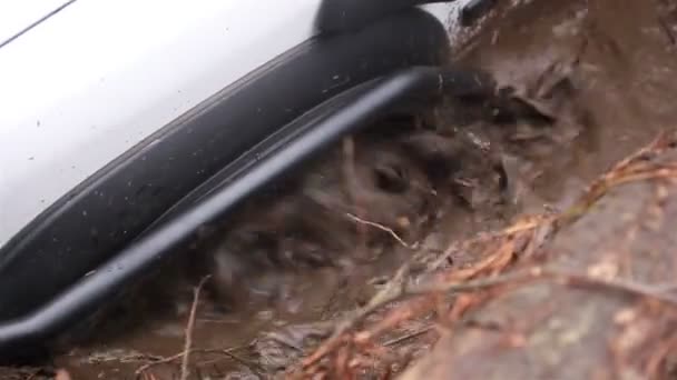 Video ravvicinato della ruota del SUV nel fango — Video Stock
