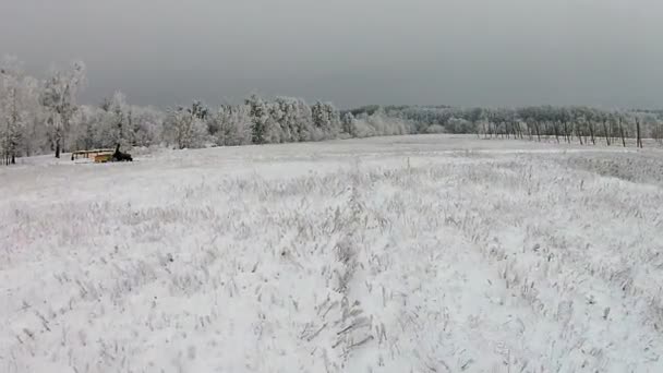 Luchtfoto van sneeuw bedekte veld — Stockvideo