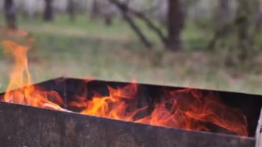 Mangal ile orman yangın