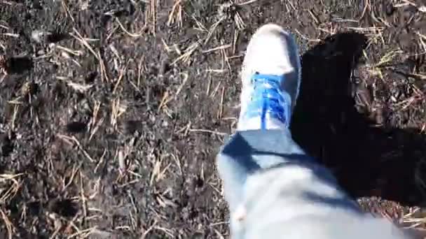 Περπάτημα άνθρωπος στο δάσος καπνιστό επάνω — Αρχείο Βίντεο