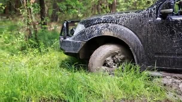 Zwarte Suv vast kwam te zitten in de modder in het bos, off-road — Stockvideo