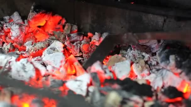 Coal for hookah warm-up on the grill — Stock Video