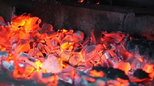 Kolen voor waterpijp warming-up op de grill — Stockvideo