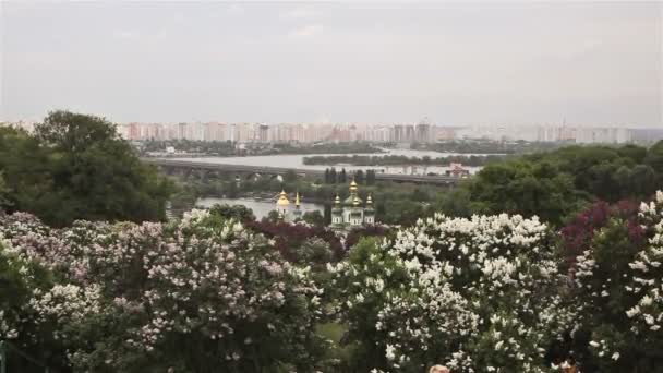Vista a través de las lilas florecientes en Kiev Pechersk Lavra — Vídeo de stock
