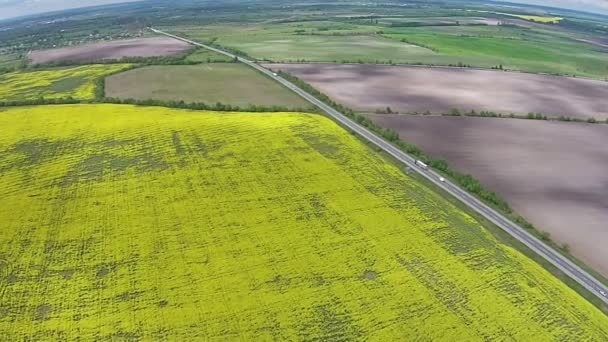 Luchtfoto van het gele veld met verkrachting en weg — Stockvideo