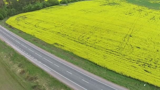 Aerial view of the yellow field with rape and road — Stock Video