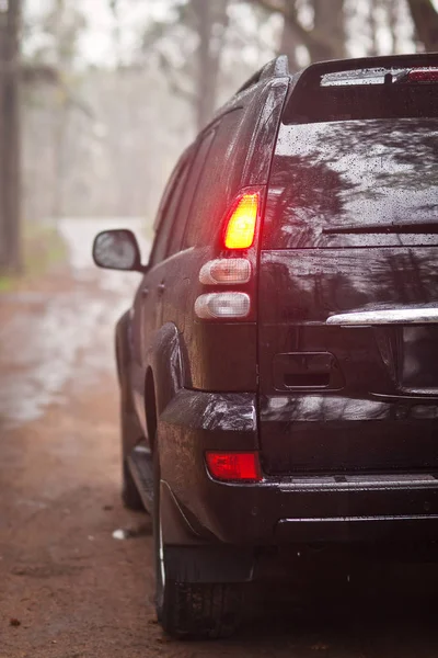 Lado da frente do SUV preto na floresta — Fotografia de Stock