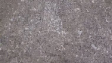 Çakıl taşları ile Sahil boyunca bir çocuk yürüyor
