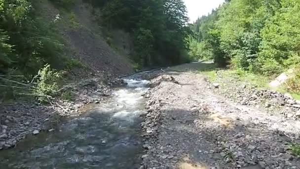 Vue d'un ruisseau de montagne depuis une hauteur en été — Video