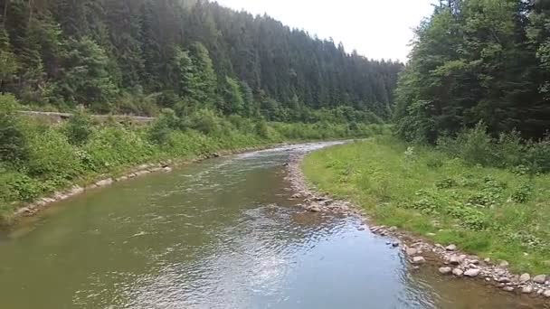 Vue d'un ruisseau de montagne depuis une hauteur en été — Video