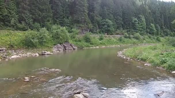 Vue d'un ruisseau de montagne depuis une hauteur en été — Video