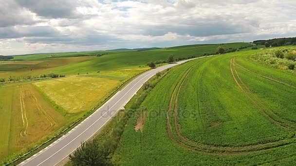 Widok z lotu ptaka powierzchni zasiewów w pobliżu autostrady — Wideo stockowe