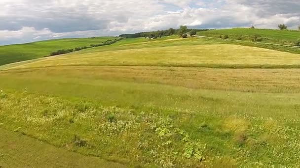 Luchtfoto van de ingezaaid velden in de buurt van de snelweg — Stockvideo