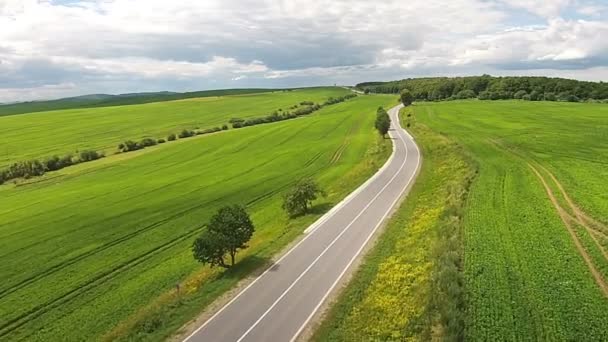 Vista aérea dos campos semeados perto da auto-estrada — Vídeo de Stock
