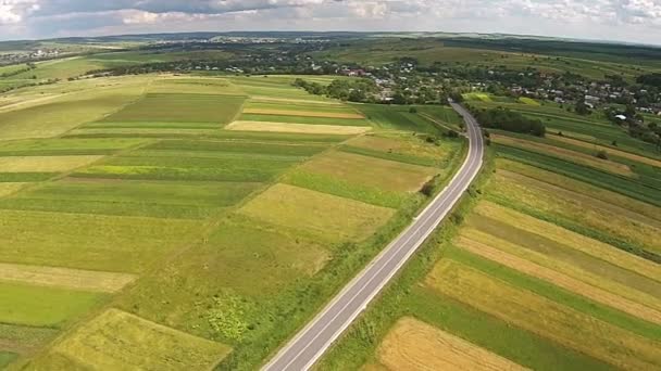 Widok z lotu ptaka powierzchni zasiewów w pobliżu autostrady — Wideo stockowe