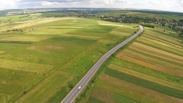 Flygfoto över de sådda fält nära motorvägen — Stockvideo