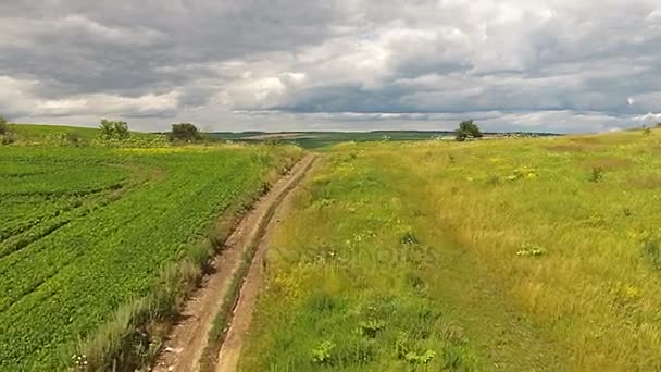 Widok z lotu ptaka powierzchni zasiewów w pobliżu autostrady — Wideo stockowe