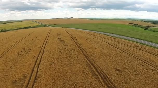 Luchtfoto van de ingezaaid velden in de buurt van de snelweg — Stockvideo
