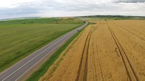 Vista aérea dos campos semeados perto da auto-estrada — Vídeo de Stock