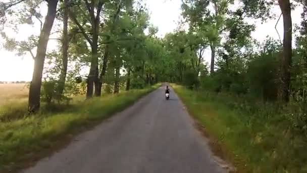 Девушка едет на мопеде по аллее с деревьями — стоковое видео