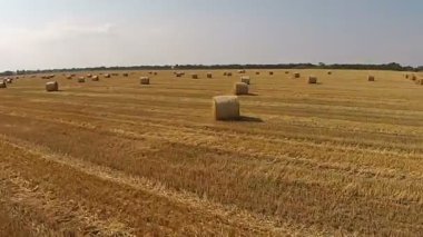 Bir kuş bakışı ile yığılmış balya buğday alan üzerinden görüntülemek