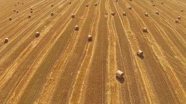 Bir kuş bakışı ile yığılmış balya buğday alan üzerinden görüntülemek