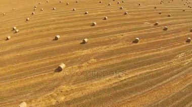 Bir kuş bakışı ile yığılmış balya buğday alan üzerinden görüntülemek