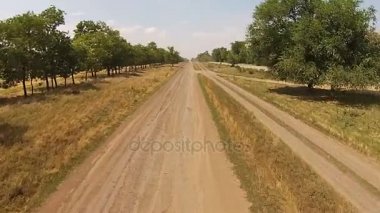Kötü ülke road, kumlu yolunda iki tarafta ağaçları ile