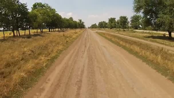 Slechte weg, zandige landweg met bomen aan de zijkanten — Stockvideo