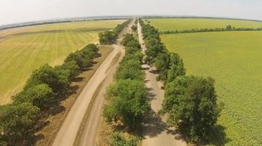 Kötü ülke road, kumlu yolunda iki tarafta ağaçları ile