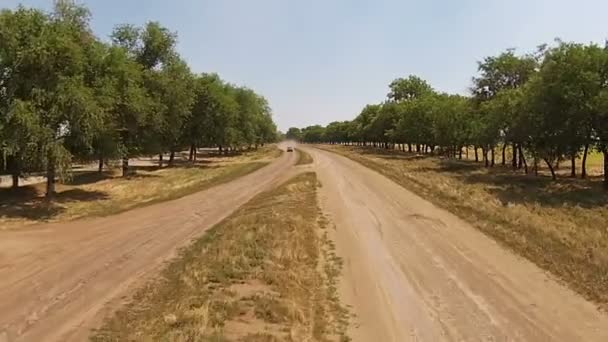Плохая проселочная дорога, песчаная дорога с деревьями по бокам и машинами — стоковое видео