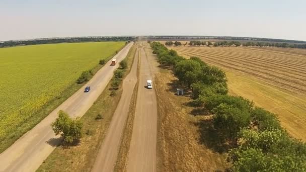Estrada rural ruim, estrada arenosa com árvores nas laterais e carros — Vídeo de Stock