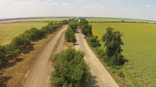 Плохая проселочная дорога, песчаная дорога с деревьями по бокам — стоковое видео