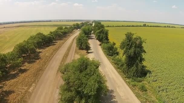 Malo camino de campo, camino arenoso con árboles a los lados — Vídeos de Stock