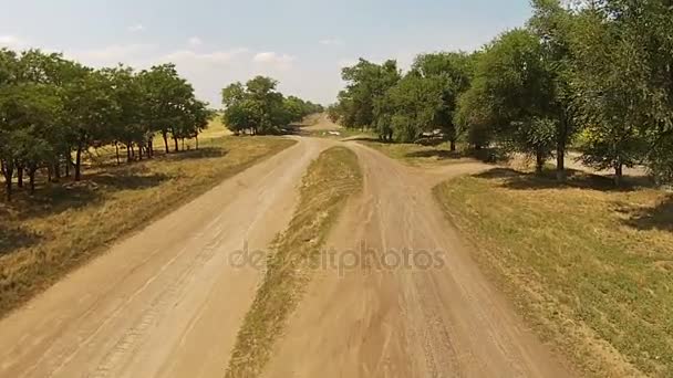 Špatná země silnici, písčité silnice se stromy po stranách — Stock video