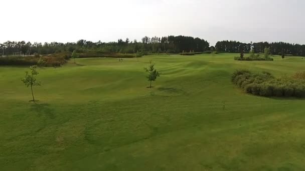 Um drone voa sobre um campo de golfe verde — Vídeo de Stock