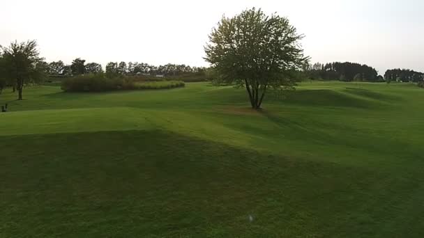 Um drone voa sobre um campo de golfe verde — Vídeo de Stock