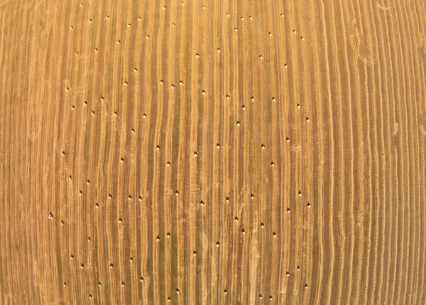 View from a bird's eye view on a field with stacked bales of wheat — Stock Photo, Image
