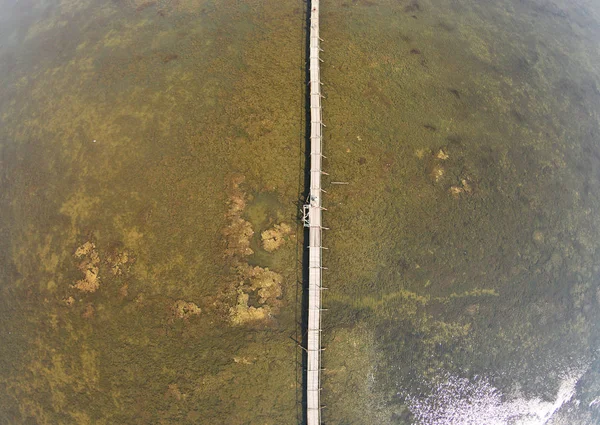 Le pont sur l'estuaire est envahi par les algues — Photo