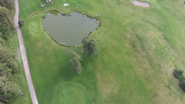 Дрон летить над зеленим полем для гольфу. Весільна підготовка — стокове відео