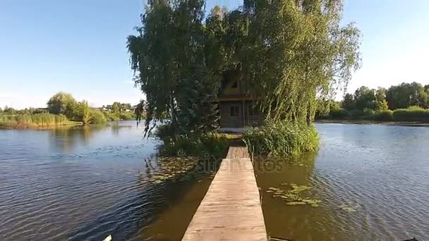 Житловий будинок з деревами посеред озера — стокове відео