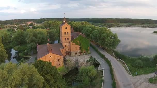 Antiguo castillo en el bosque cerca del lago — Vídeos de Stock