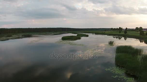 Aerial view sandy beach of the sea at the evening — Stock Video